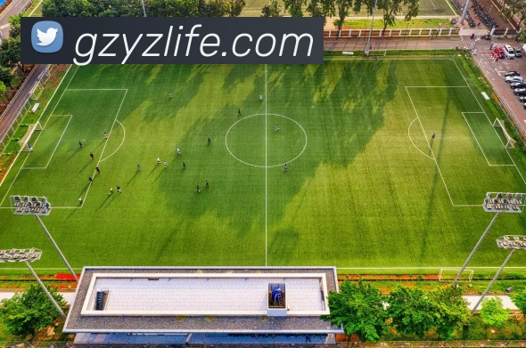 奖项证书
